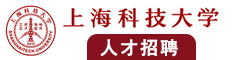 男人的机插入女人洞视频